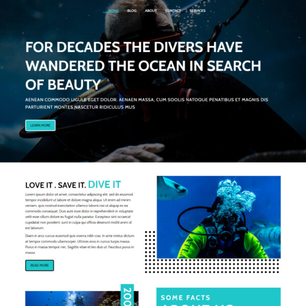 Divein WordPress Sports Theme