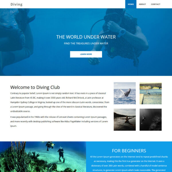 Diving WordPress Sports Theme