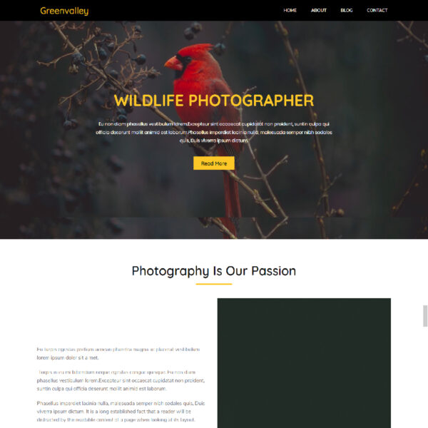 Greenvalley WordPress Photography Theme