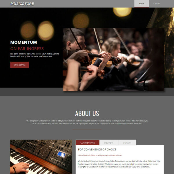 Music Store WordPress Music Theme