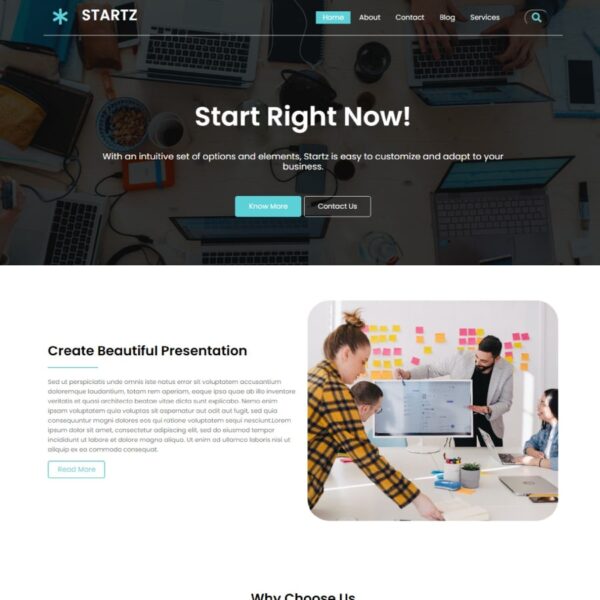 StartZ WordPress Web Design Theme