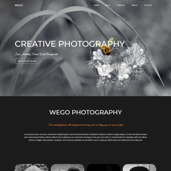 Wego WordPress Photography Theme